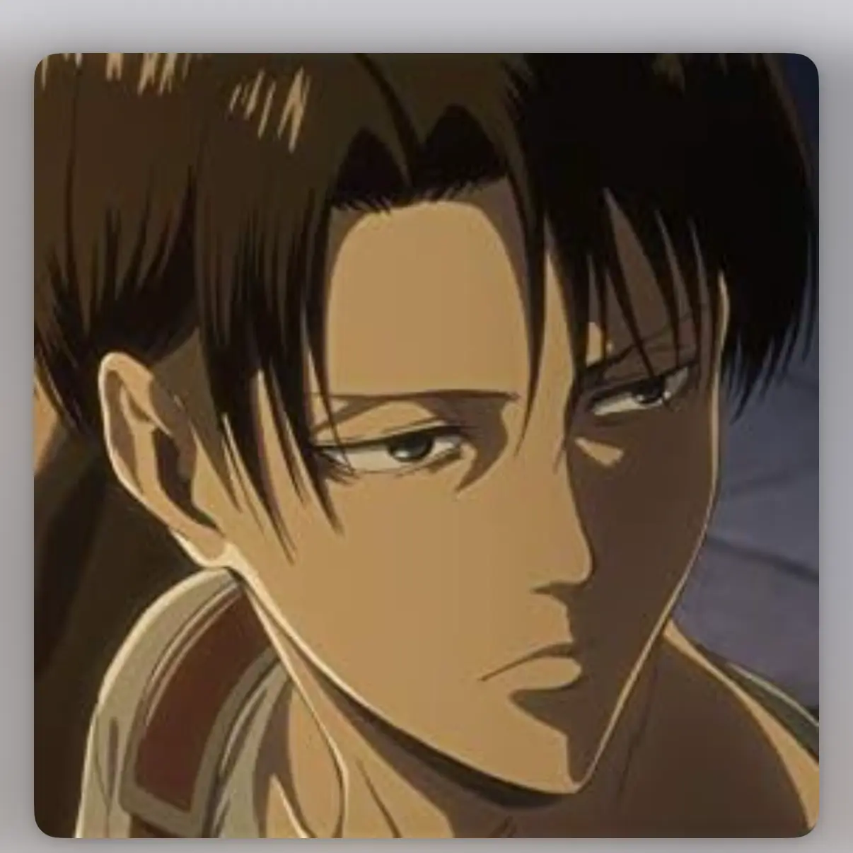 BraveCheek5744의 幹部