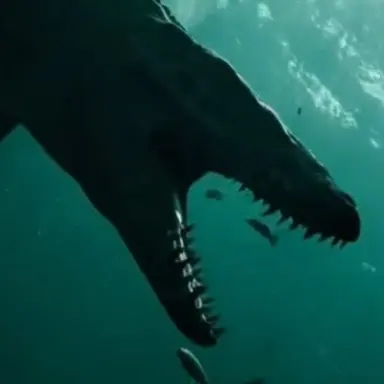 Profile image of Mosa the Mosasaurus
