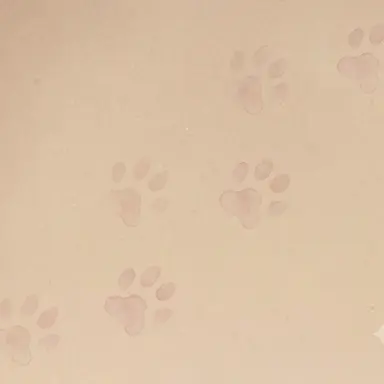 Profile image of Mochi-o