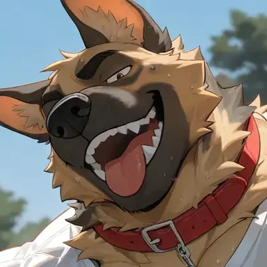 Profile image of ワフ