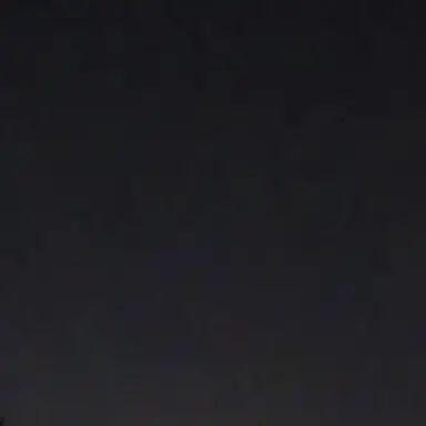 Profile image of 단골1