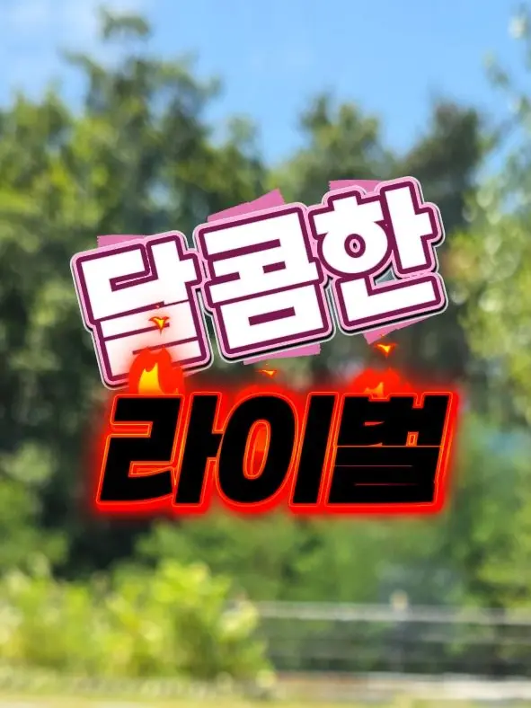 JUST_MAY의 달콤한 라이벌