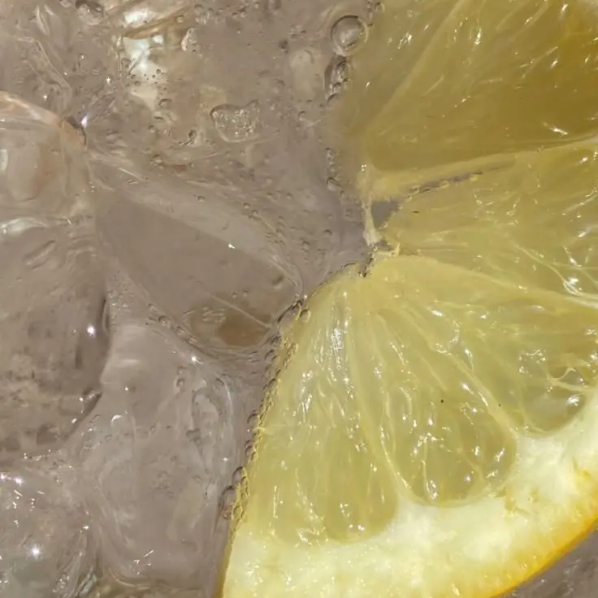 🍋 대표 이미지