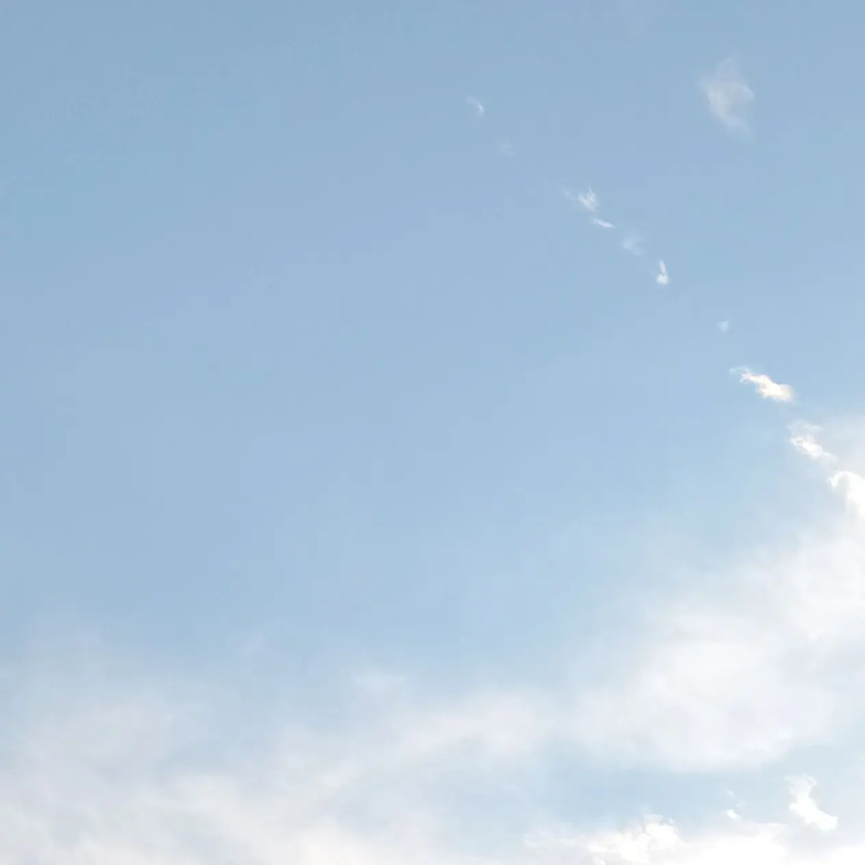 coconot_milk의 지하군+신비아파트