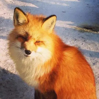 Profile image of 김준서