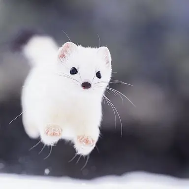 Profile image of 이상원