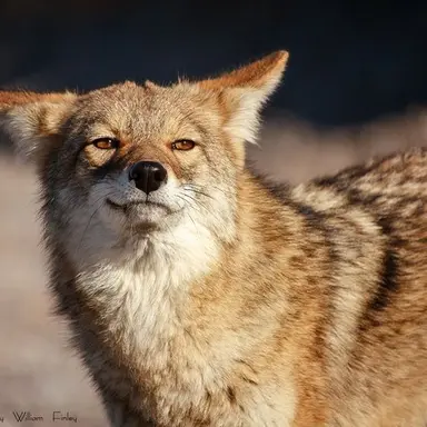 Profile image of 정상현