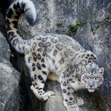 Profile image of 김건우