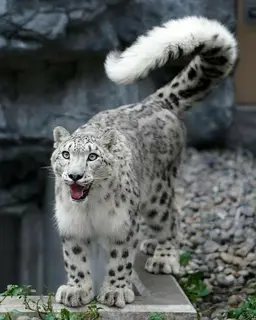 Profile image of 김건우