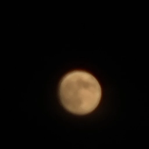 아이돌 서바이벌