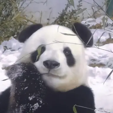 Profile image of 耀