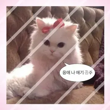 Profile image of 케인