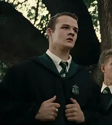 Profile image of Crabbe and Goyle
