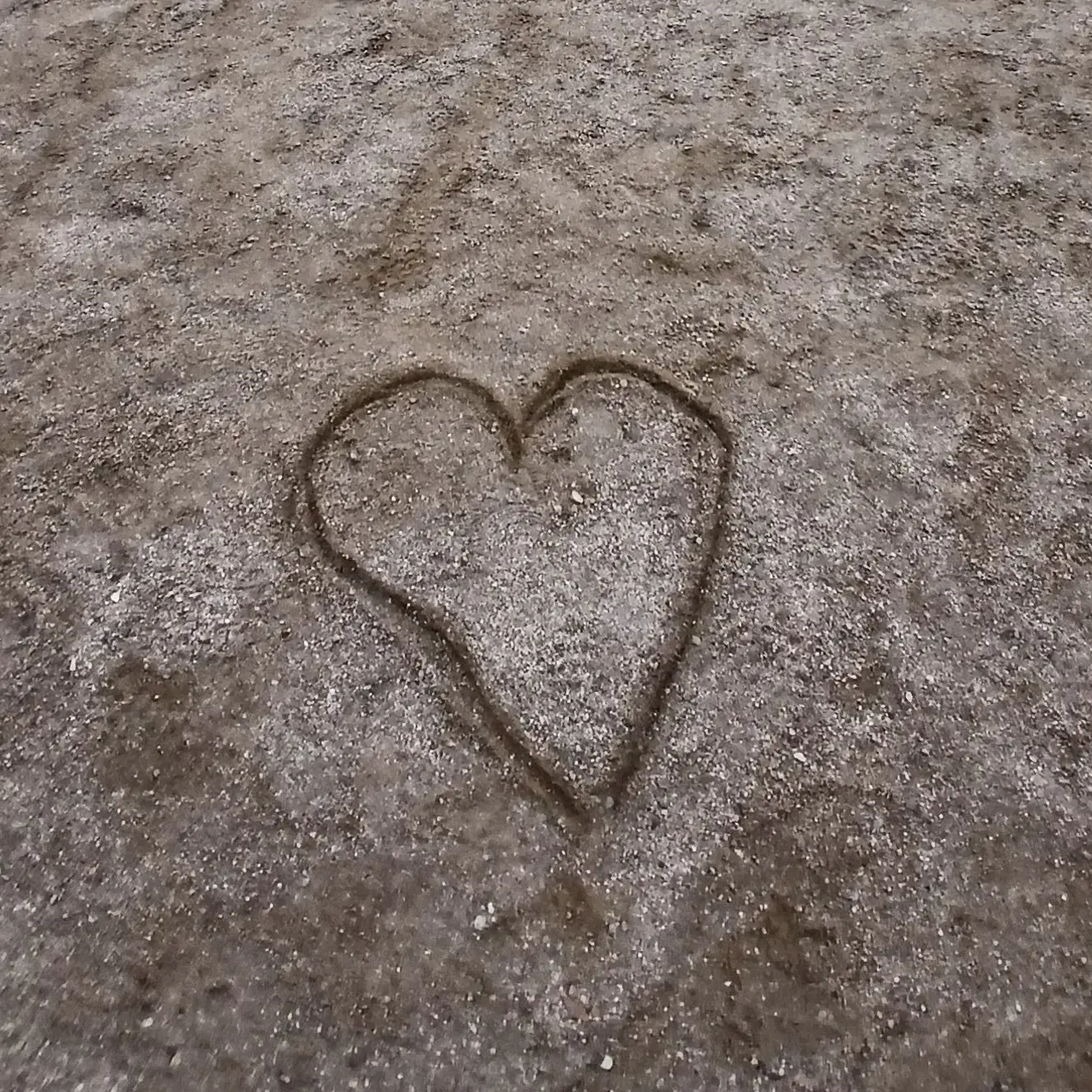 TrendyQuest2379의 팀나빠+여우