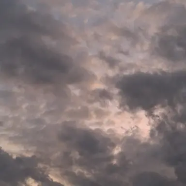 Profile image of 가인