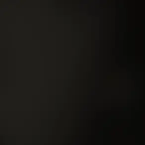 Profile image of 師匠