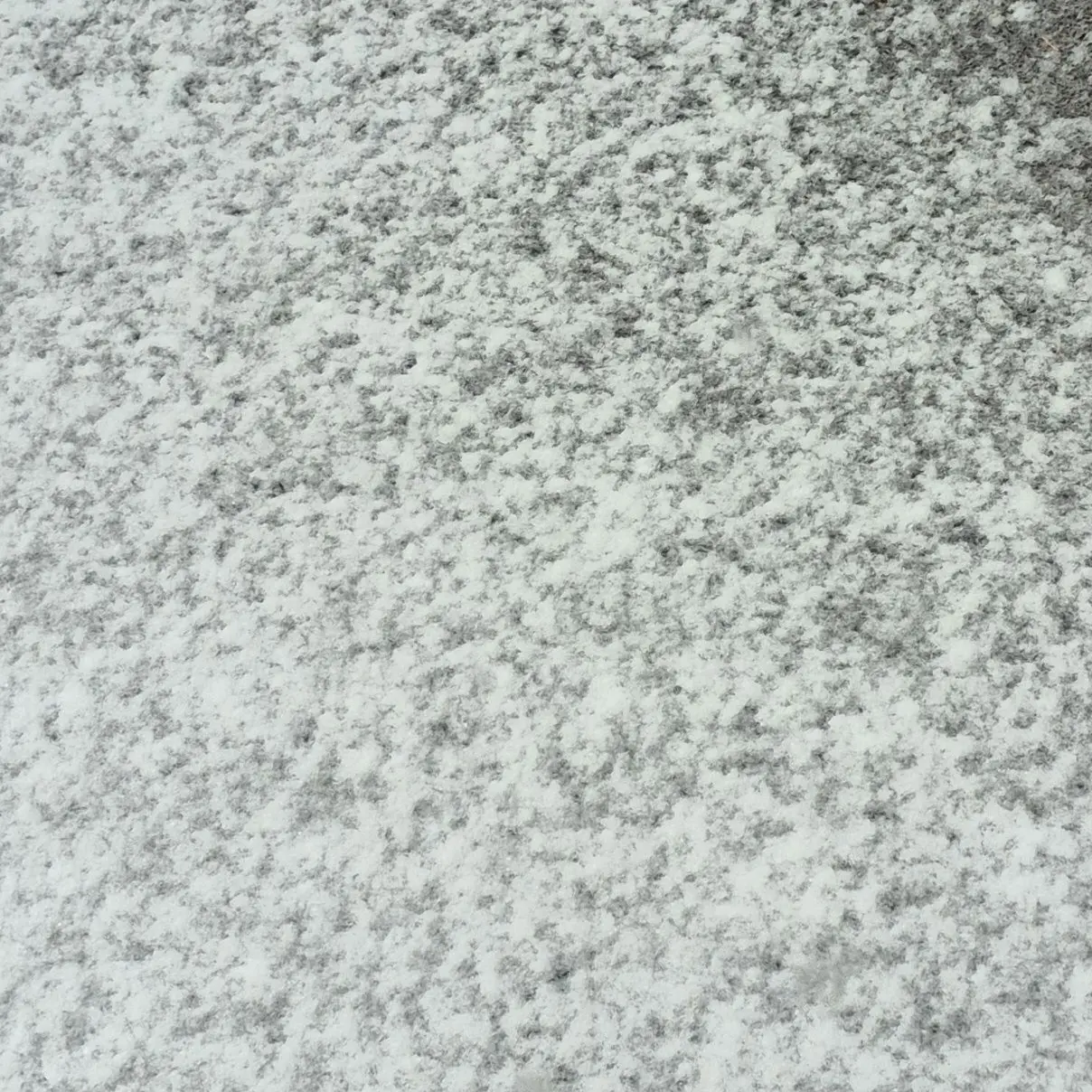 ASQWDG의 장염걸린 이배일 (나른한 크루)