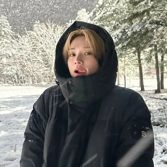 TidyToque1122의 ANDTEAM🐺