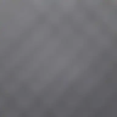 Profile image of 늑대