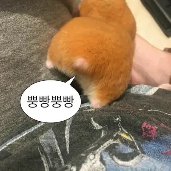 threeon의 아리아