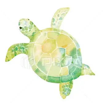 Profile image of 池亀樹音