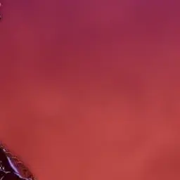 Profile image of 라더