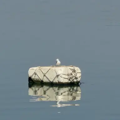 Profile image of 박선우