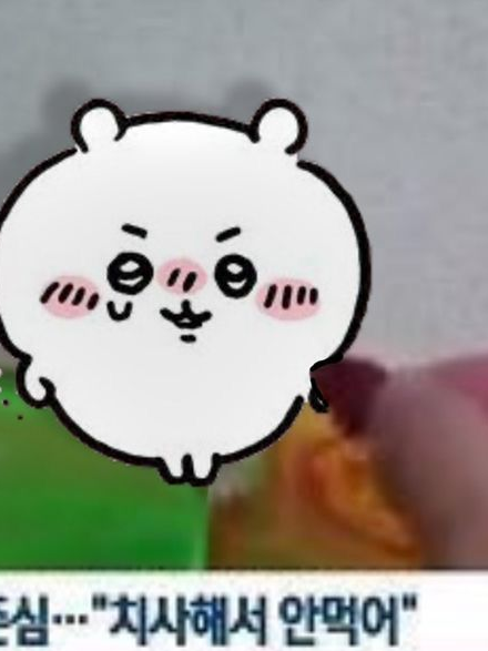 ︎ ︎ 대표 이미지