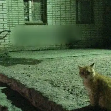 Profile image of 익항