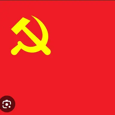 Profile image of 공산중국