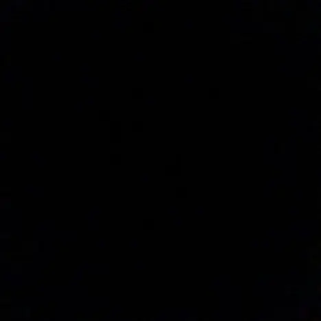 VividSeed3041의 웬수들