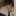 박지훈
