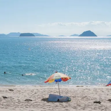 Profile image of 하지오