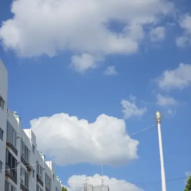 Profile image of 성호