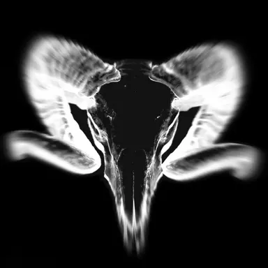 Profile image of ㅤㅤ