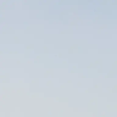 Profile image of 다윈