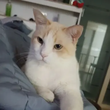 Profile image of 디지털 서커스