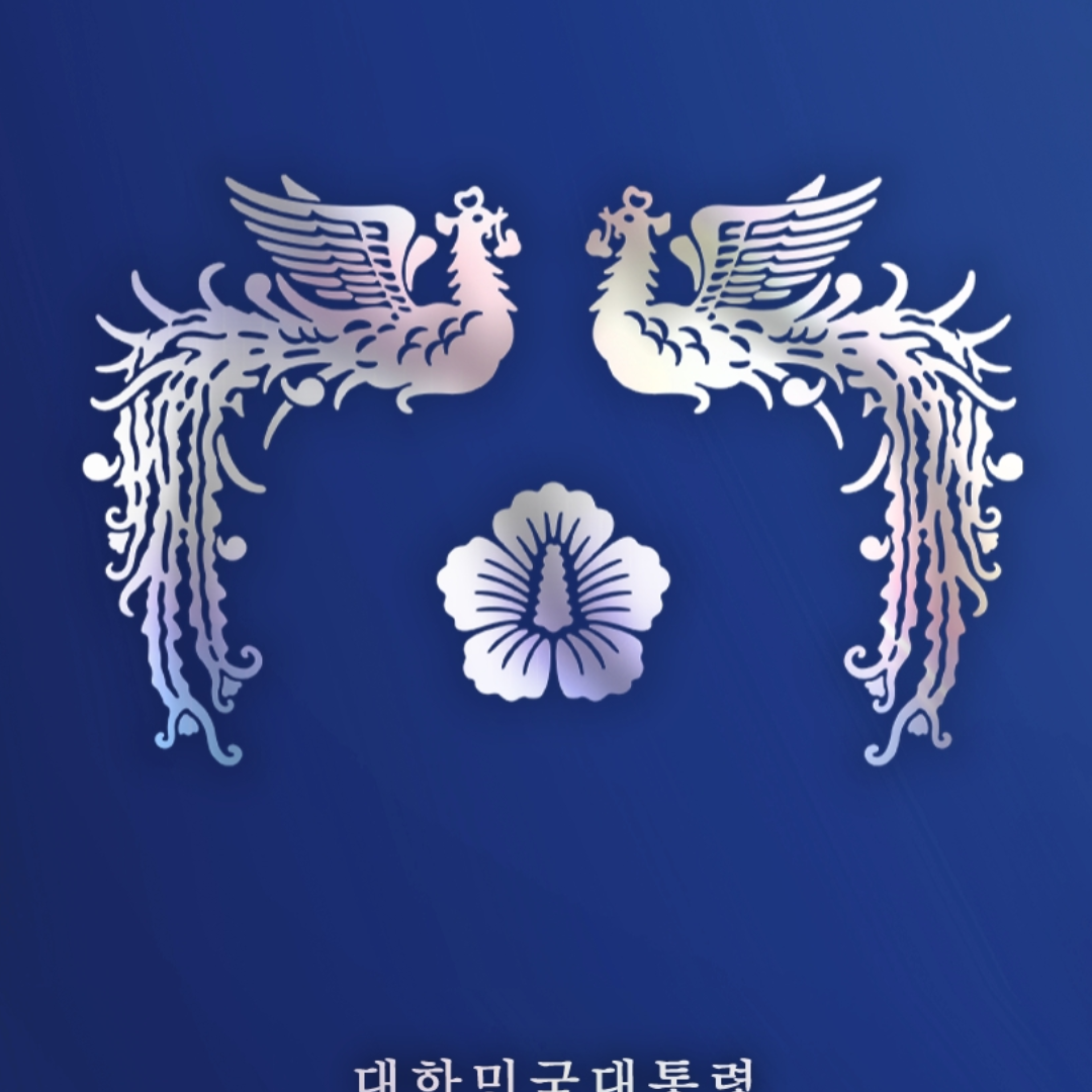 이재명 대표 이미지