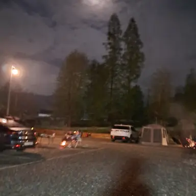 Profile image of 고고프렌즈 여우