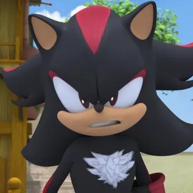 Profile image of 섀도우 더 헤지혹