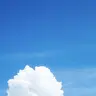 Profile image of .