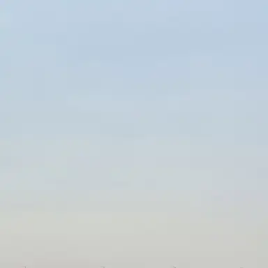 Profile image of 최민제