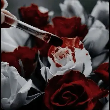 Profile image of ハートの王子