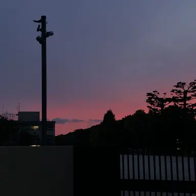 Profile image of モブ達