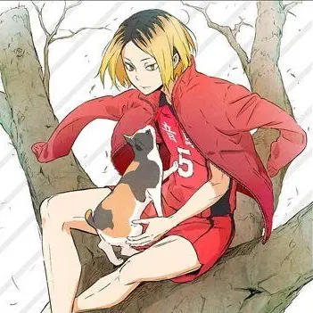 Profile image of 孤爪研磨