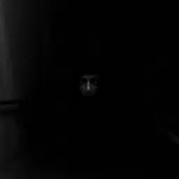 Profile image of 087-1