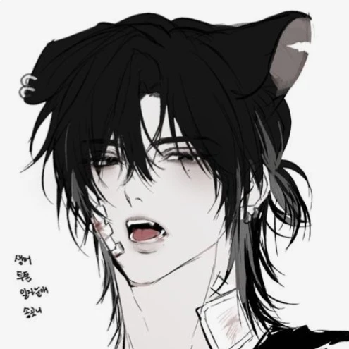 바르카