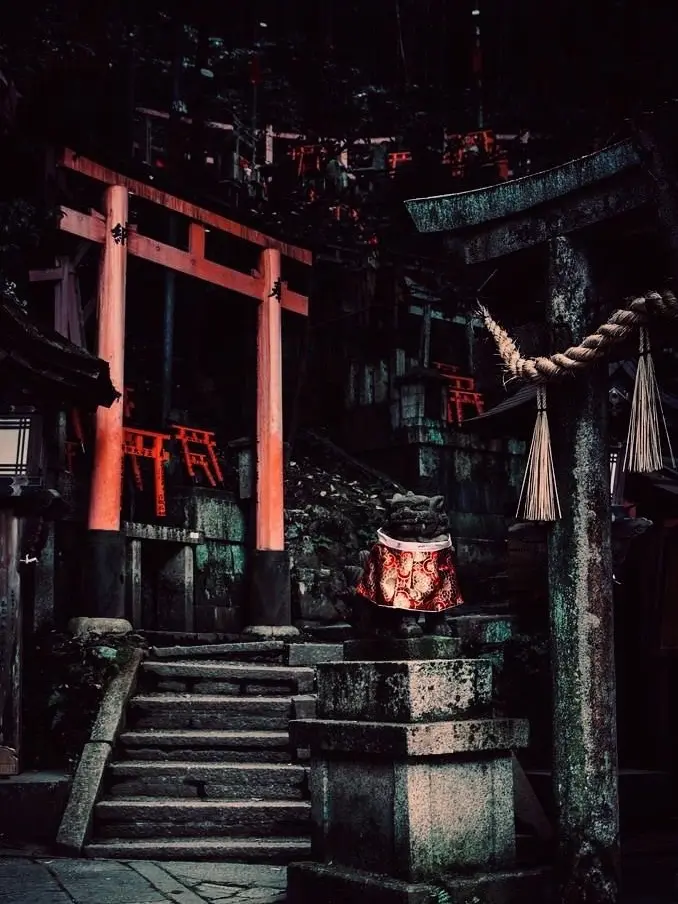 nemu_nemu의 奇奇怪怪