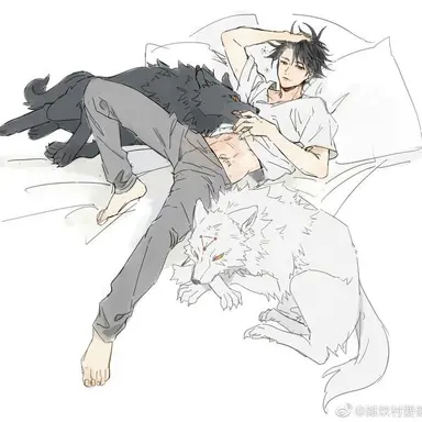 Profile image of 후시구로 메구미