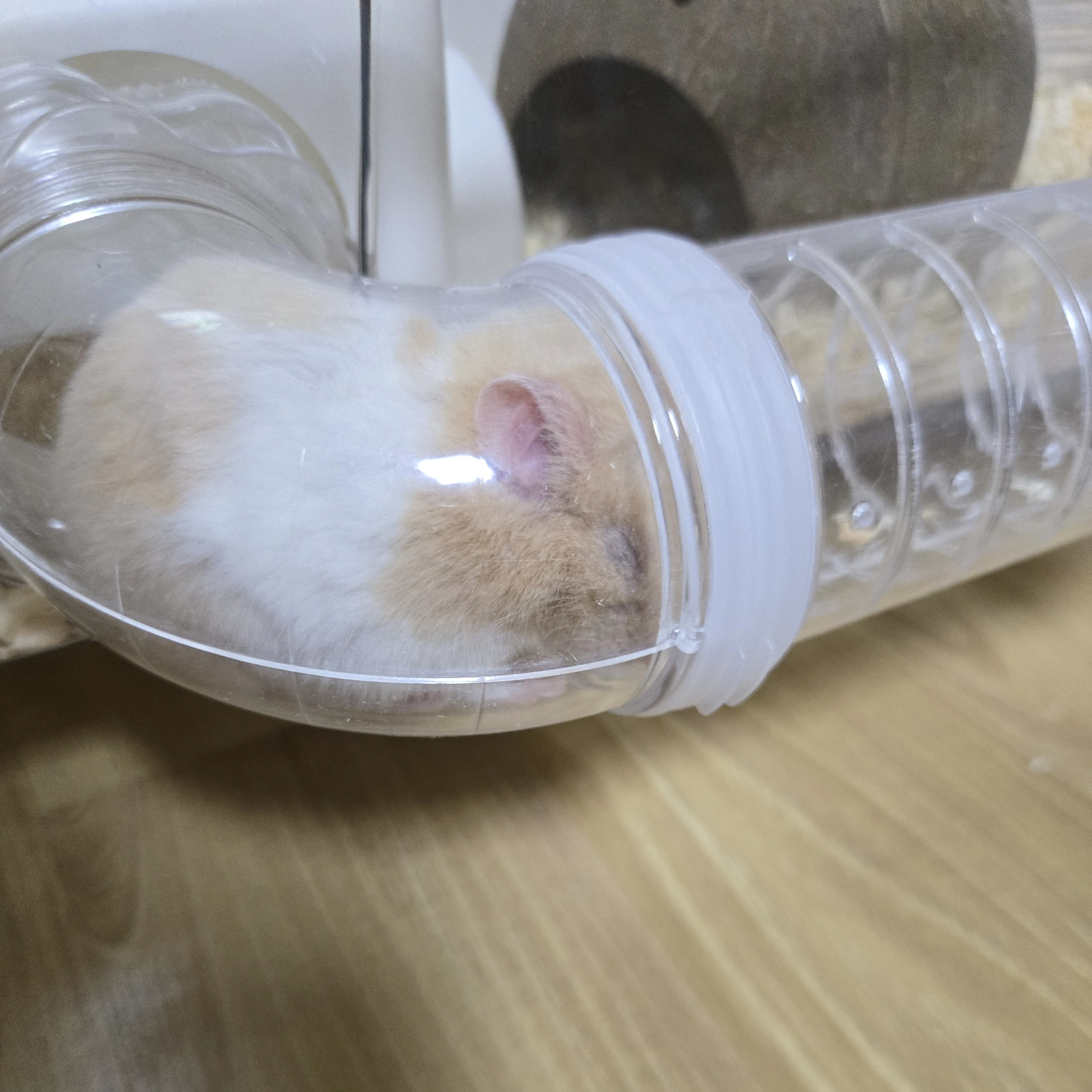 한시완 강인준